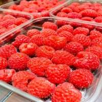 Fresh Raspberry 250gm