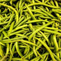 FRENCH BEANS
