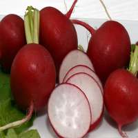 RED RADISH 1KG