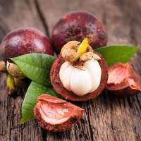 Mangosteen